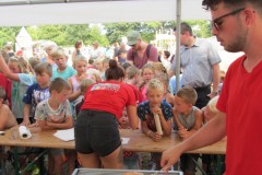 IMG_10083_1280x768