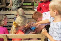 IMG_0355_1280x768