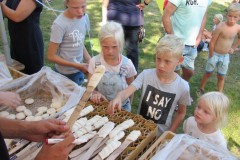 IMG_0801_1280x768