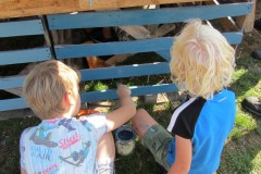 IMG_0493_1280x768