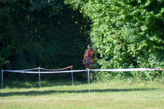 DSC_9753