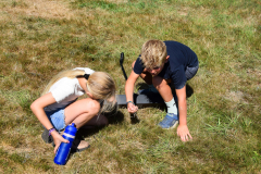 DSC_1463